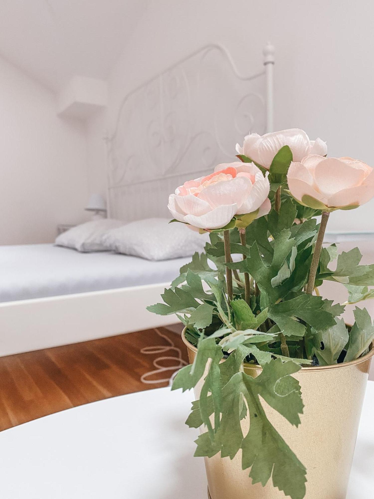 Blue Lotus Apartments Μπρατισλάβα Εξωτερικό φωτογραφία